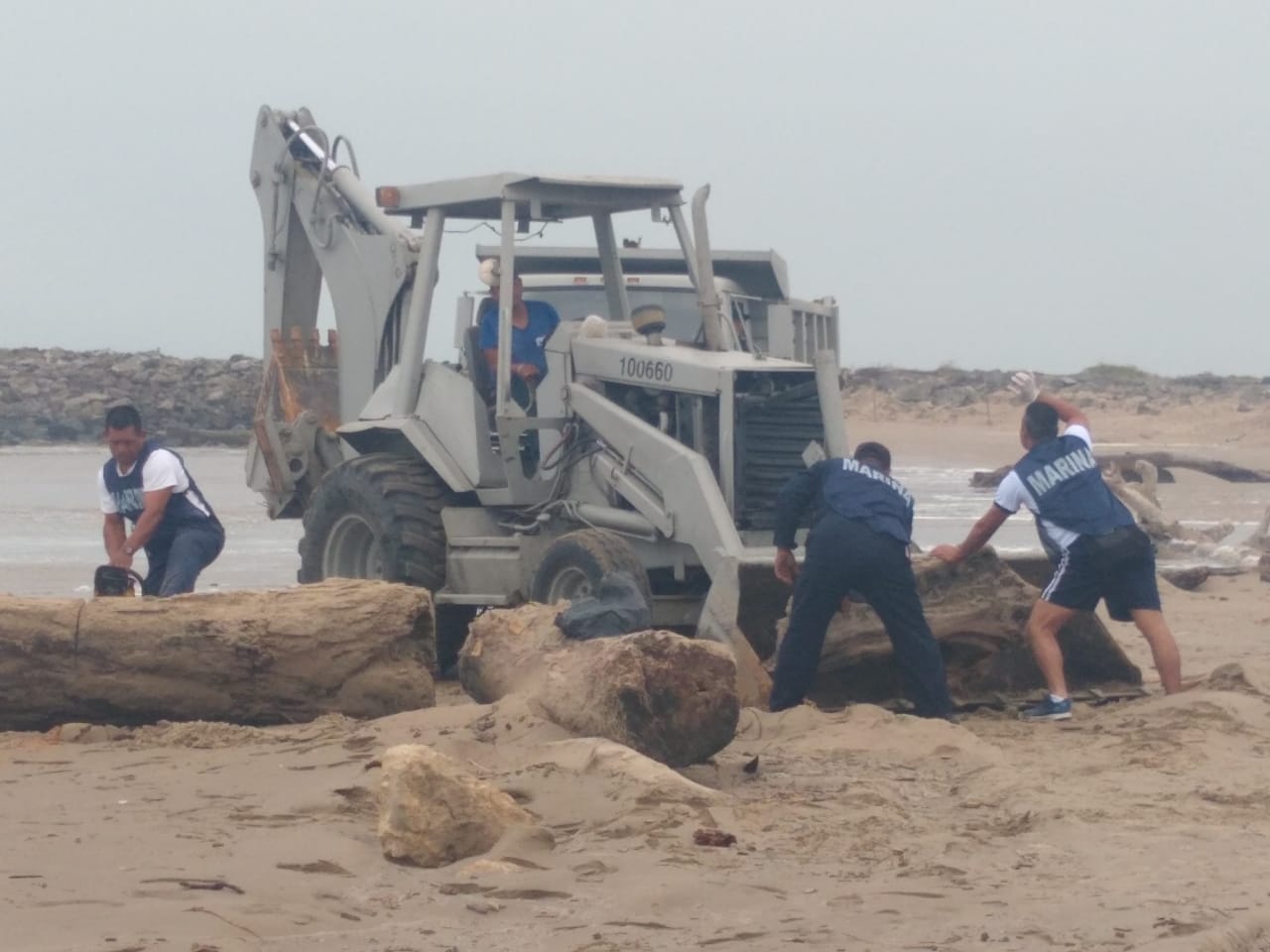 Participa SEMAR en labores de limpieza de playas, en Tuxpan