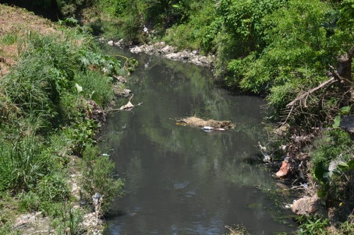 La última esperanza de los arroyos