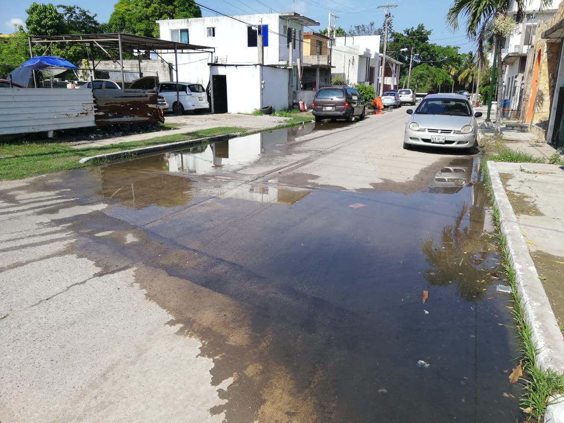 Condiciones de insalubridad en las colonias Anáhuac y Tolteca, de Tampico