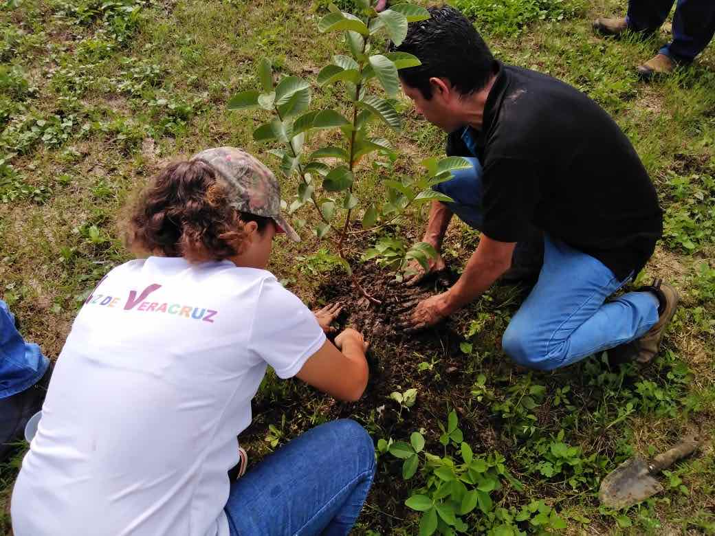 Realizan jornada de reforestación, en Poza Rica