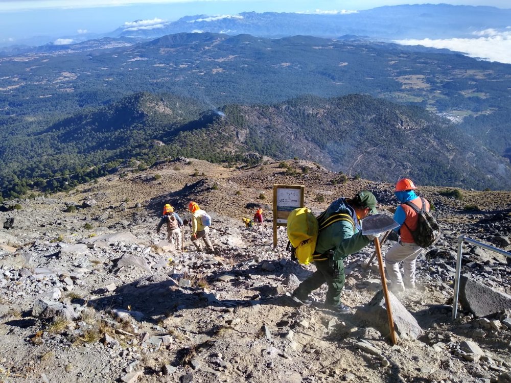 Controlado en un 90% el incendio del Parque Nacional Cofre de Perote