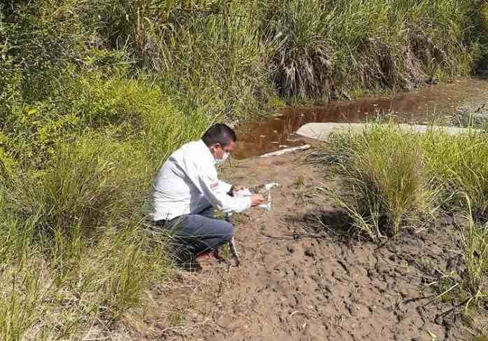 Trasladan cría de cocodrilo a reserva natural