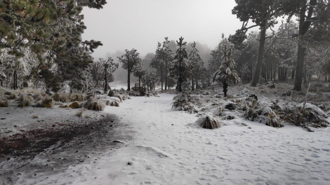 Masa de aire polar recorrerá Veracruz este fin de semana